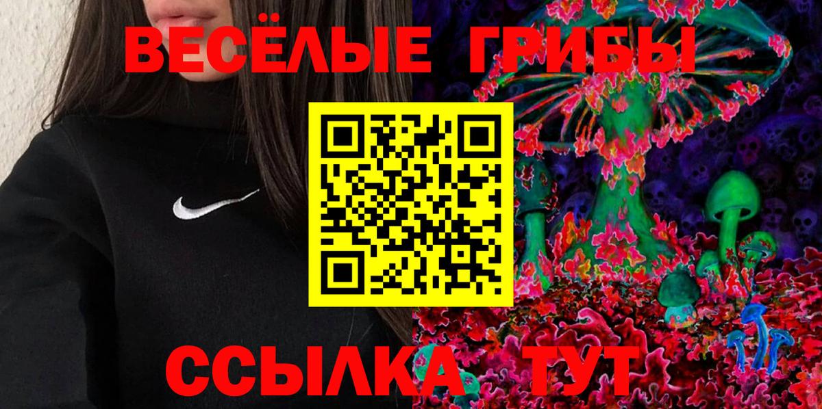 Галлюциногенные грибы Psilocybine cubensis Кохма