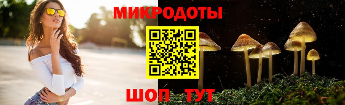 Галлюциногенные грибы Cubensis  Псилоцибиновые грибы мицелий  Кохма  Вход с VPN 