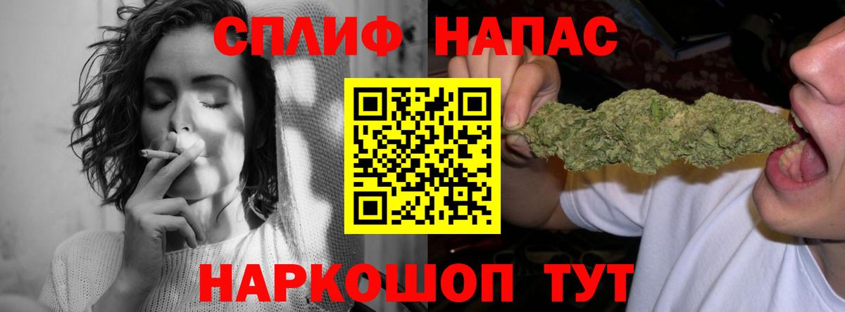 Каннабис семена Кохма